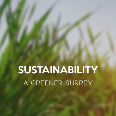 Sustainability Greener Surrey Button 400 x 400 2019.png